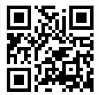 541894596
